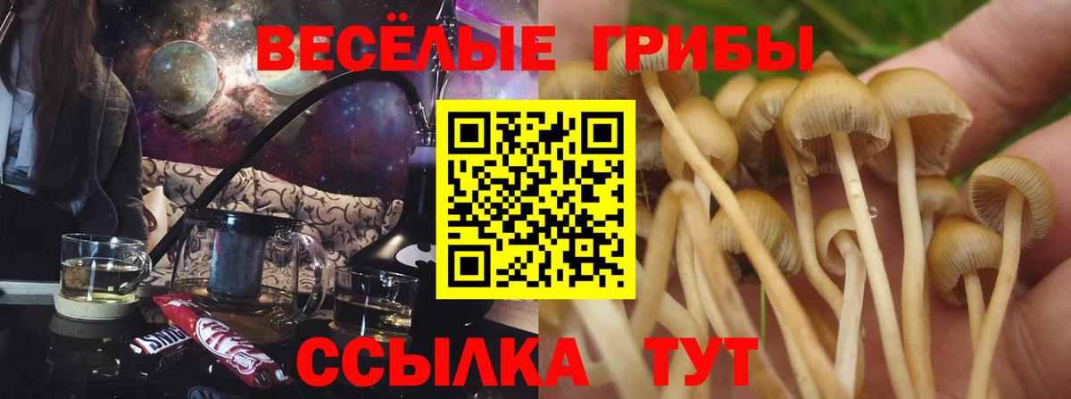 Таганрог  Галлюциногенные грибы GOLDEN TEACHER  Вход с VPN 